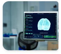 Brain
